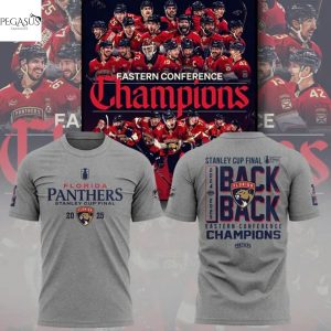 Florida Panthers Stanley Cup Final Champions Back-To-Back 3D T-Shirt – Grey