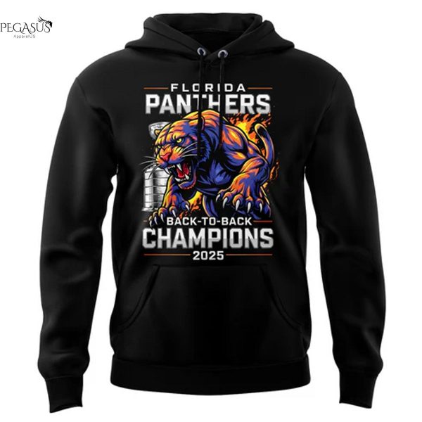 Florida Panthers Stanley Cup Final Champions Back-To-Back Hoodie