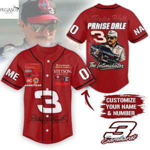 Personalized Dale Earnhardt Raise Hell Praise Dale Baseball Jersey